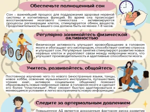 Семь столпов здорового мозга